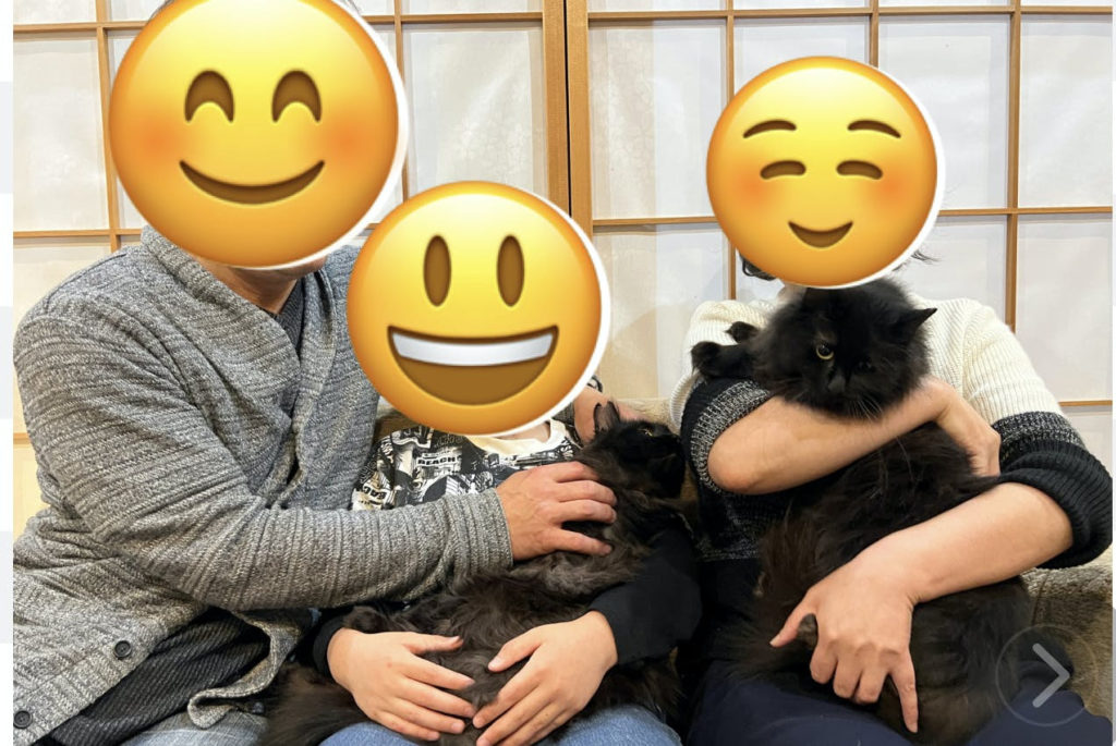 保護猫　里親募集　譲渡会　茨城県　野良猫　預かりボランティア