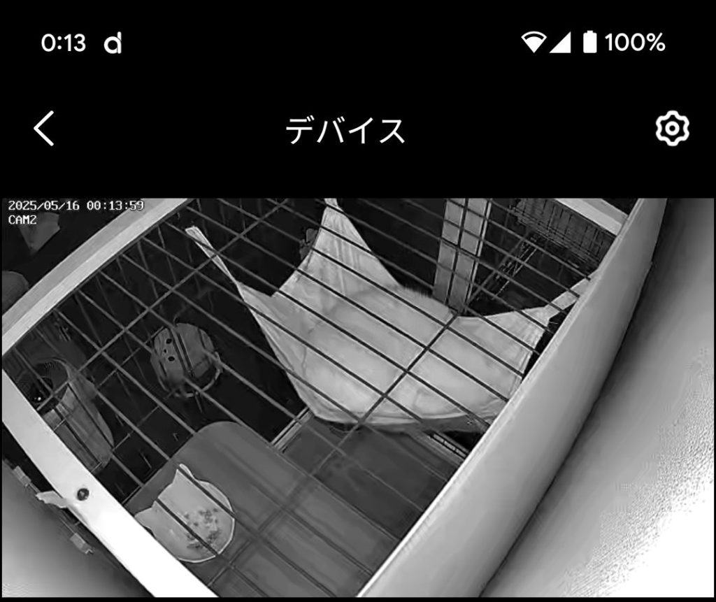 茨城県坂東市　保護猫　里親募集　預かりボランティア　わんにゃんサークル結生