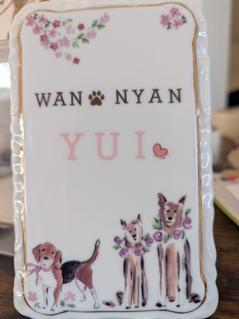 茨城県坂東市　保護猫　里親募集　預かりボランティア　わんにゃんサークル結生　譲渡会