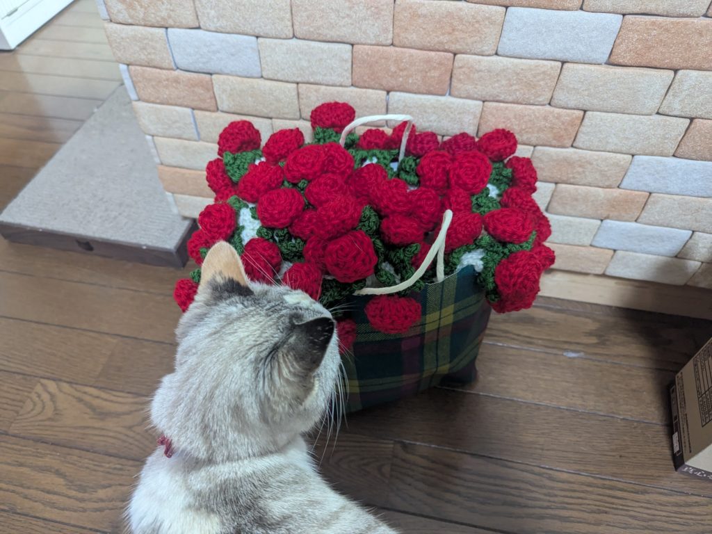 茨城県坂東市　保護猫　里親募集　預かりボランティア　わんにゃんサークル結生　譲渡会