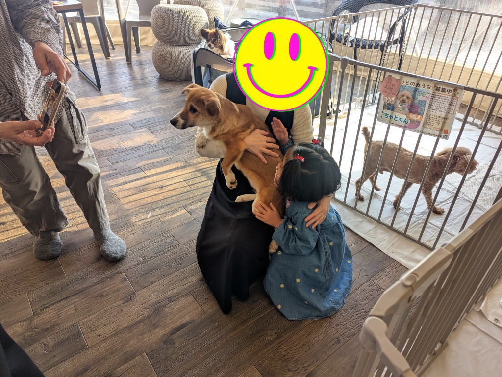 茨城県坂東市 保護猫 里親募集 預かりボランティア わんにゃんサークル結生 譲渡会