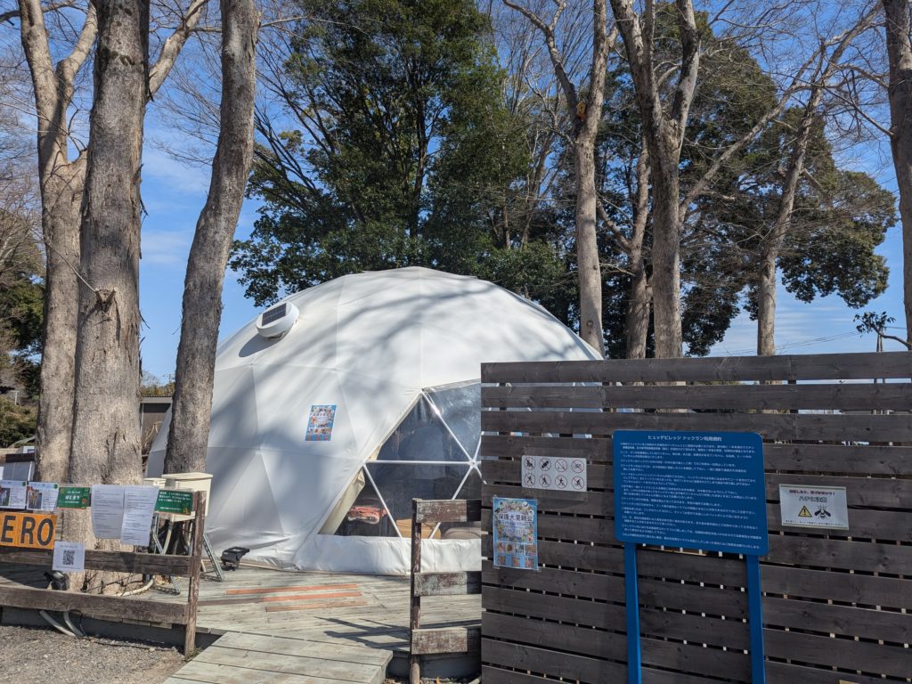 茨城県坂東市　保護猫　里親募集　預かりボランティア　わんにゃんサークル結生